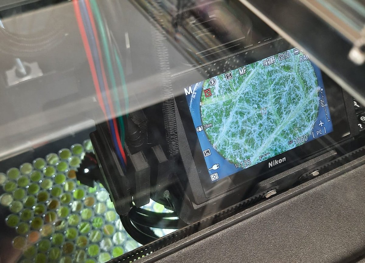 INRAE_SAVE (@inrae_save) on Twitter photo Les feuilles de vigne collectées par Paola Fournier pour <a href="/Vitae_Project/">VITAE (PPR-CPA) @Vitae_Project</a> sont en cours de phénotypage à l'Université de Cornell. Le robot Blackbird réalise un phénotypage à haut-débit de la résistance au mildiou. Merci au Pr Cadle-Davidson de nous donner accès à cette technologie! Les feuilles de vigne collectées par Paola Fournier pour <a href="/Vitae_Project/">VITAE (PPR-CPA) @Vitae_Project</a> sont en cours de phénotypage à l'Université de Cornell. Le robot Blackbird réalise un phénotypage à haut-débit de la résistance au mildiou. Merci au Pr Cadle-Davidson de nous donner accès à cette technologie!