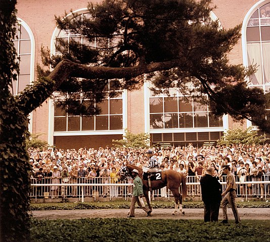 Secretariat Reaches Another Level in Belmont Stakes Win bit.ly/3N28sw2 #TC2023