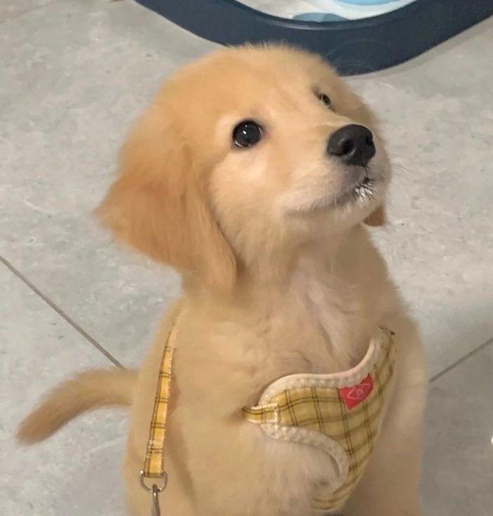 ไม่ได้แอบกิมนมนะ