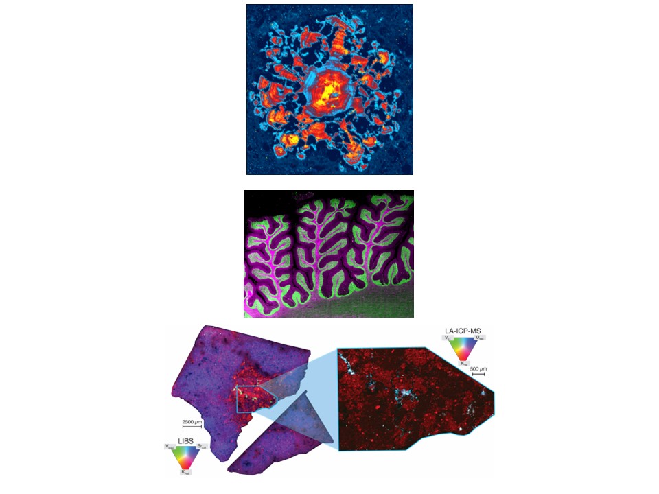 NAWLA2023 LASER ABLATION CONTEST WINNERS!
Ballots have been tabulated and 1st, 2nd, and 3rd place images (top to bottom):
1- Fonteini Drakou for "Coronavirus, aka Garnet"
2- Olga Minaeva for "LA-ICP-MS image of human brain"
3- ORNL Team for "Unveiling Finchite's Hidden Treasures"