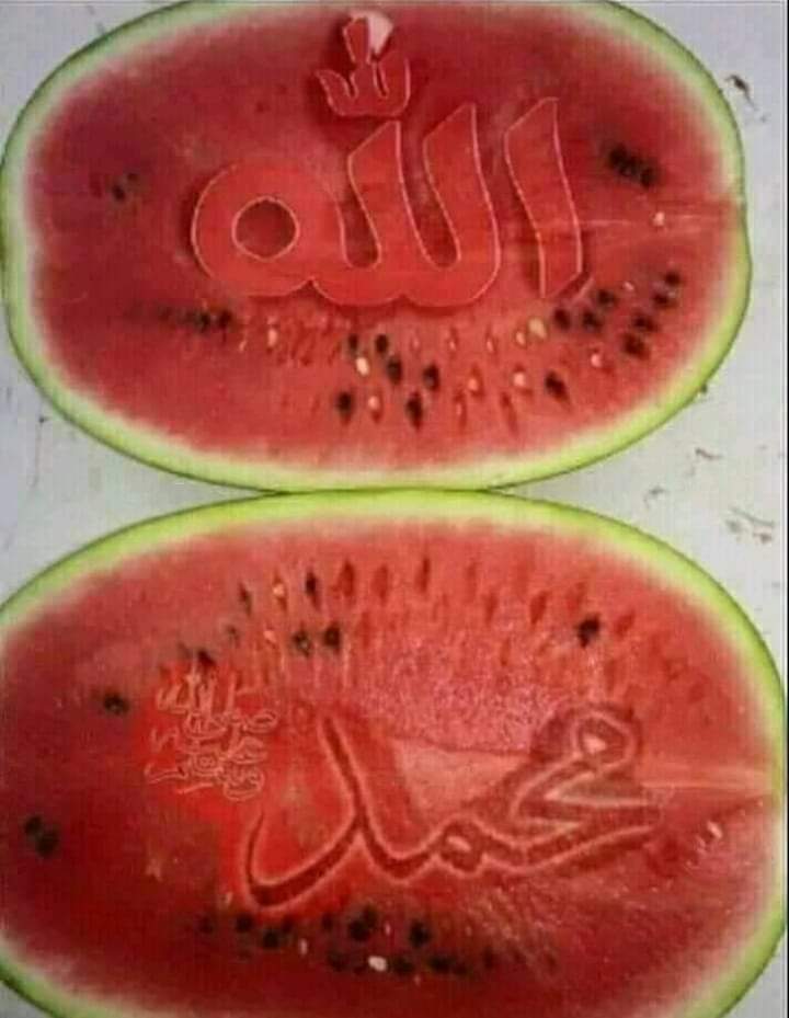 لماذا لا تحصد هذه الصور ملايين مثل صور المشاهير