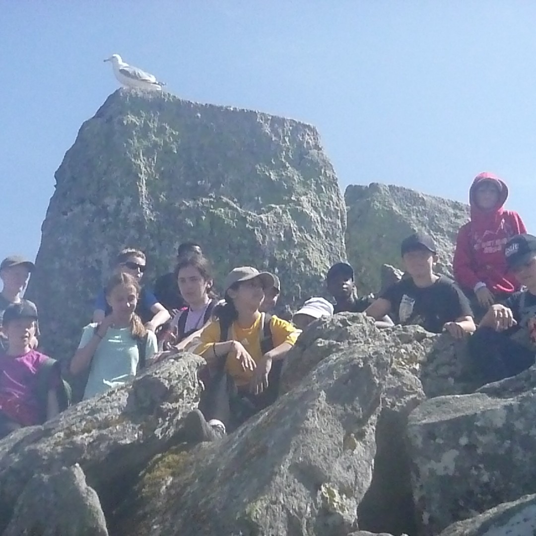 copthorneprep's tweet photo. Last day with one last big challenge, Tryfan! 

A tough ask on a hot day with some tricky spots to navigate, but everyone came through with flying colours.

#wales #tryfan #year7 #learningisfun #enrichedlearning #buildingresilience #copthorneprep https://t.co/lHBo84I3KD