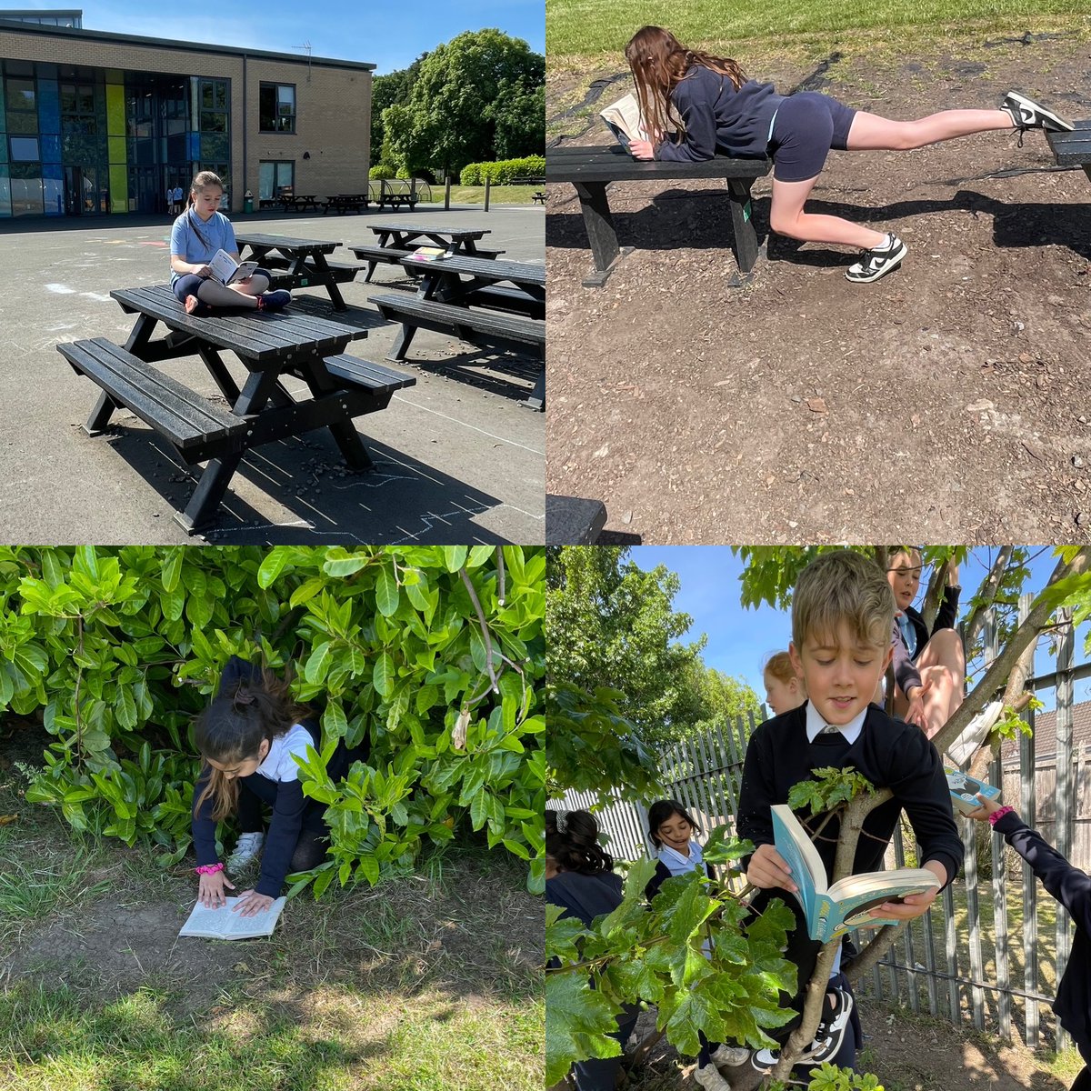 BankheadPrimary's tweet photo. 🍃📖Room 9 took advantage of the nice weather by reading outside in unusual places for Indoor Adventurer and Help At Home Day📖🍃 #BankheadWillSOAR @21stCentFam https://t.co/FkFELpissg