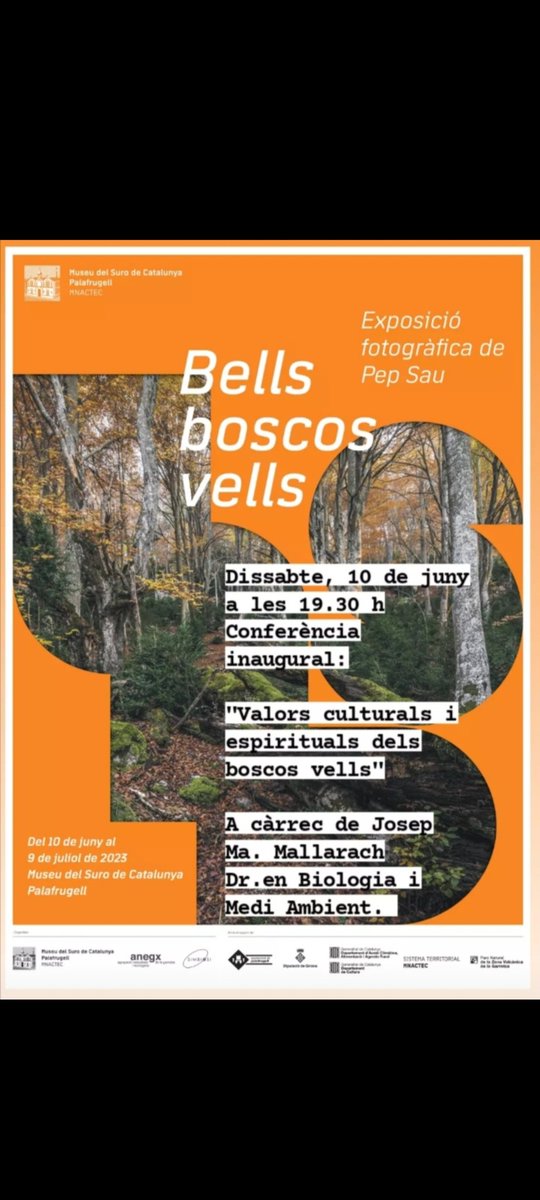 Demà inauguració de l'exposició "Bells boscos vells" al museu del suro de Catalunya