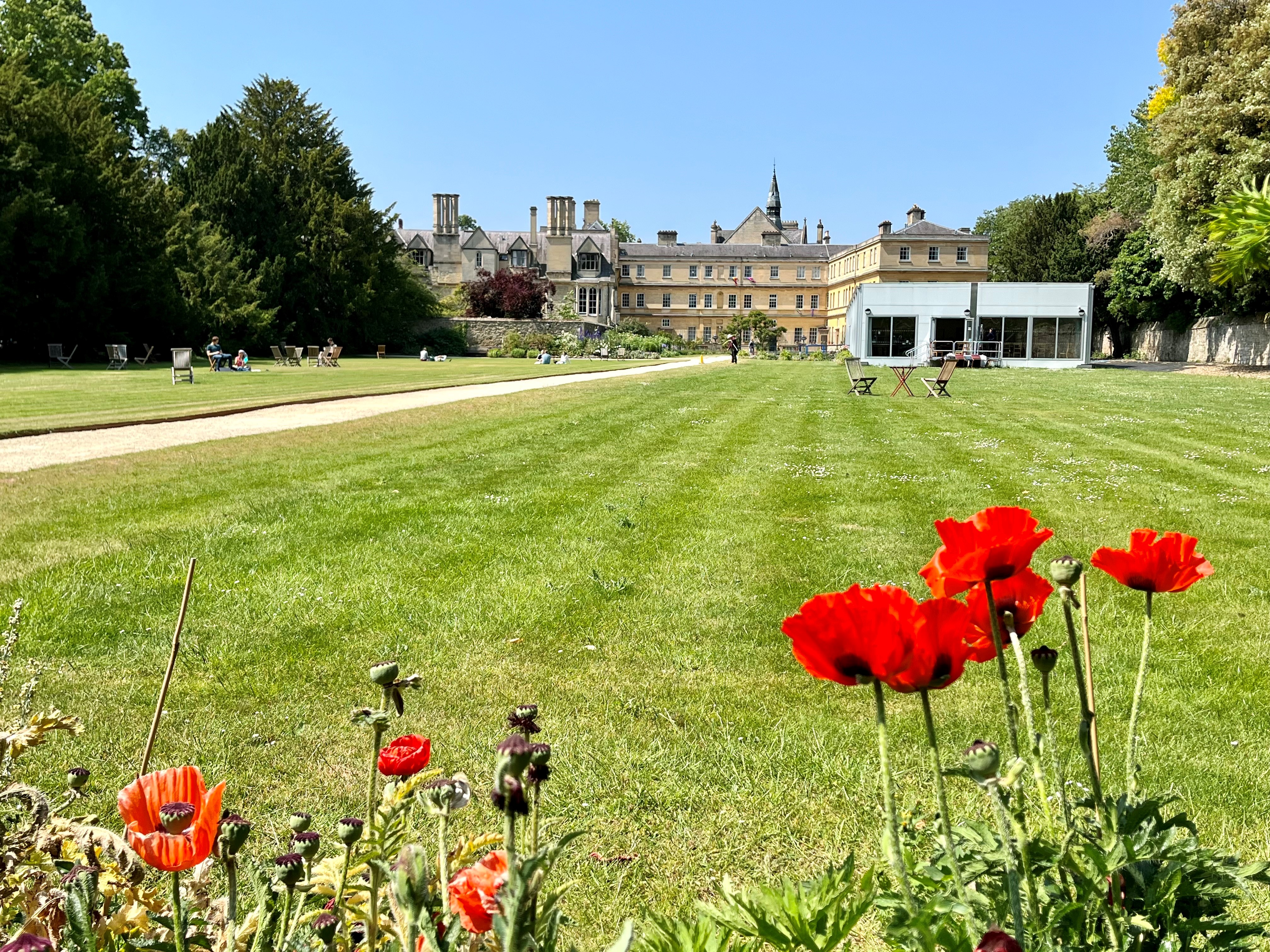 A view looking down the lawns at Trinity college, with a poppy border in the foreground.