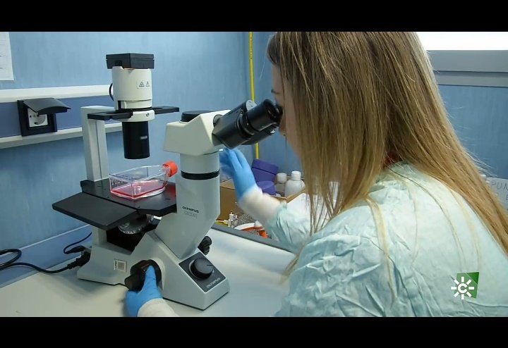 CIAL_CSIC_UAM's tweet photo. La investigadora  Dolores Castillo (@BioscienceCial), quiere aprovechar los residuos del café, que son el 90 por ciento, para reducir la contaminación, mejorar  la nutrición y crear puestos de trabajo.

Descúbrelo en el programa "ConCiencia" de
@canalsur  https://t.co/VE40kvGaaO https://t.co/XxONjGOw6a