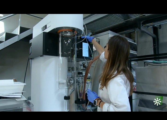 CIAL_CSIC_UAM's tweet photo. La investigadora  Dolores Castillo (@BioscienceCial), quiere aprovechar los residuos del café, que son el 90 por ciento, para reducir la contaminación, mejorar  la nutrición y crear puestos de trabajo.

Descúbrelo en el programa "ConCiencia" de
@canalsur  https://t.co/VE40kvGaaO https://t.co/XxONjGOw6a