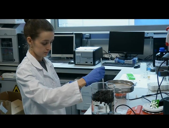 CIAL_CSIC_UAM's tweet photo. La investigadora  Dolores Castillo (@BioscienceCial), quiere aprovechar los residuos del café, que son el 90 por ciento, para reducir la contaminación, mejorar  la nutrición y crear puestos de trabajo.

Descúbrelo en el programa "ConCiencia" de
@canalsur  https://t.co/VE40kvGaaO https://t.co/XxONjGOw6a