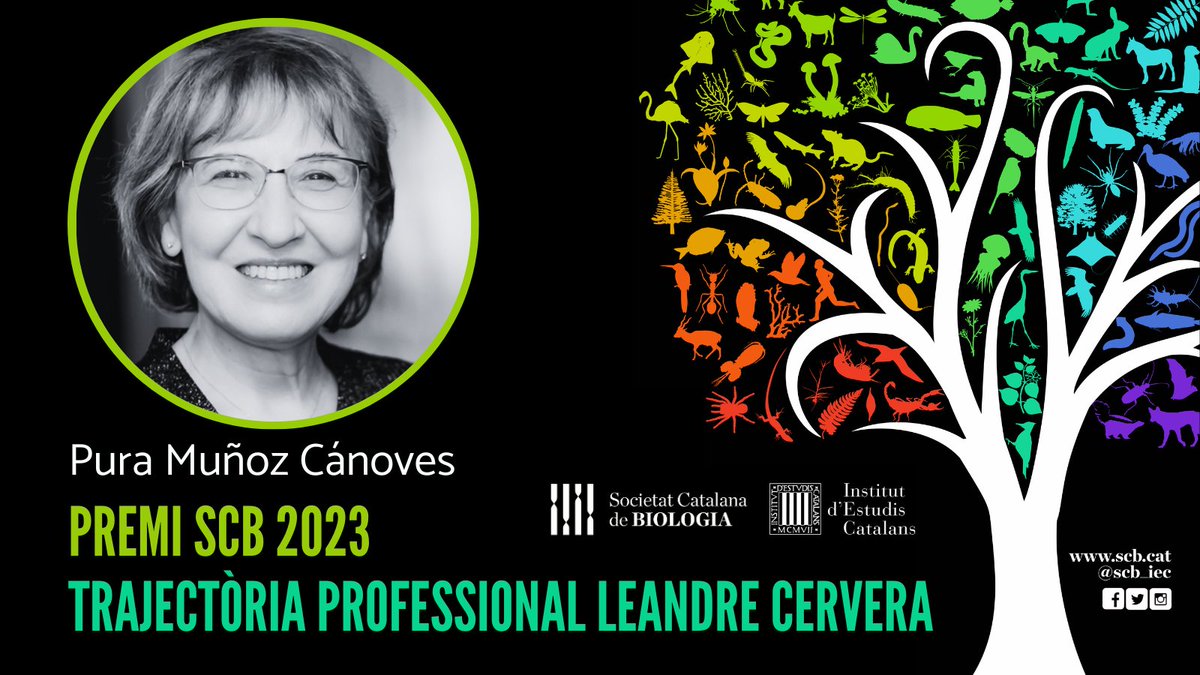 🥇Dra. Pura Muñoz-Cánoves, guardonada amb el #PremiSCB2023 a la #TrajectòriaProfessional Leandre Cervera. Enhorabona pel més que merescut reconeixement! 👏👏#NitBio2023