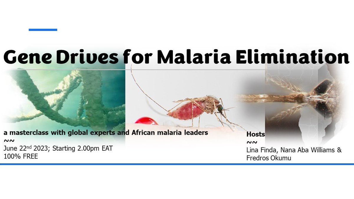 Gene Drives for Malaria Elimination
~
Please join us for the 43rd Edition of our Malaria MasterClasses. We look forward to hosting the leading experts on this subject and also many leaders from the malaria-endemic countries to discuss how gene drives might be incorporated into