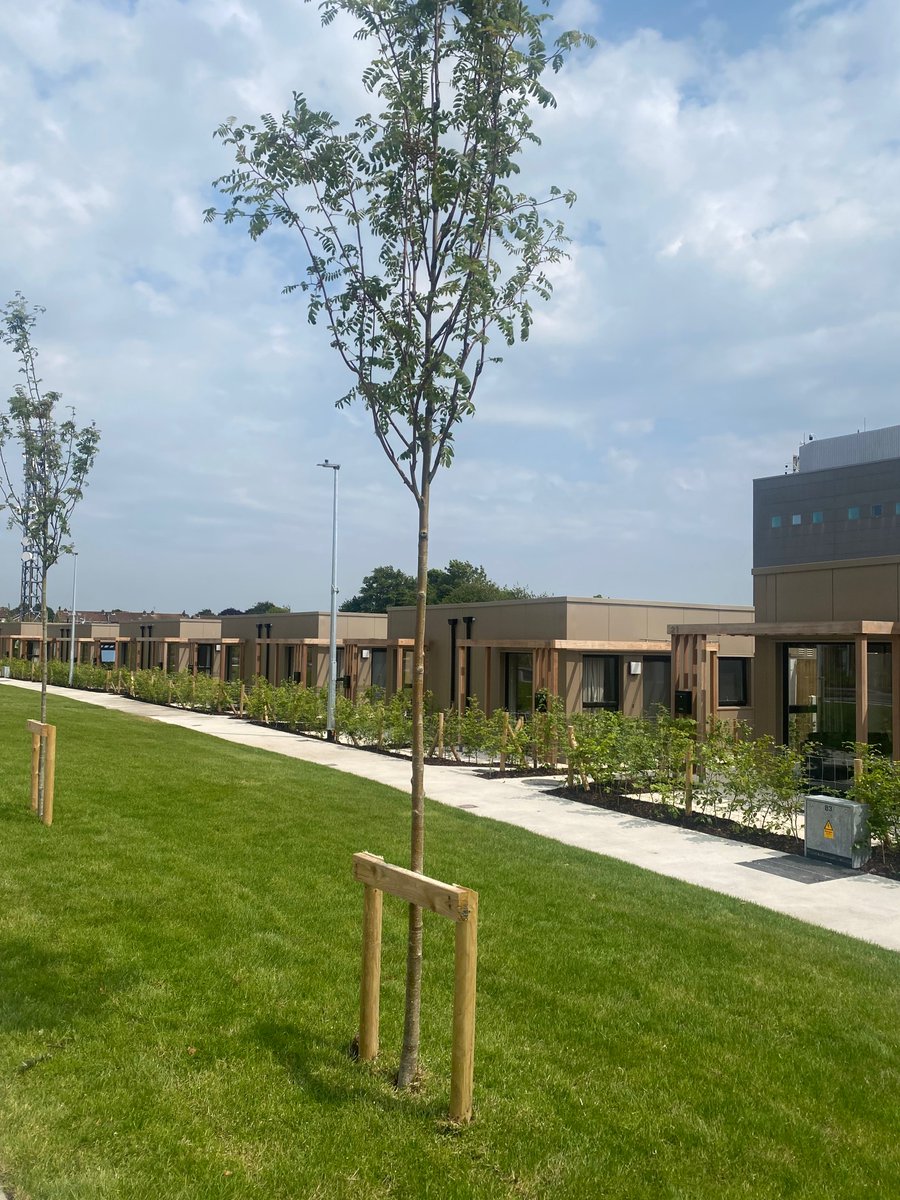 Eimer McAuley tweet media