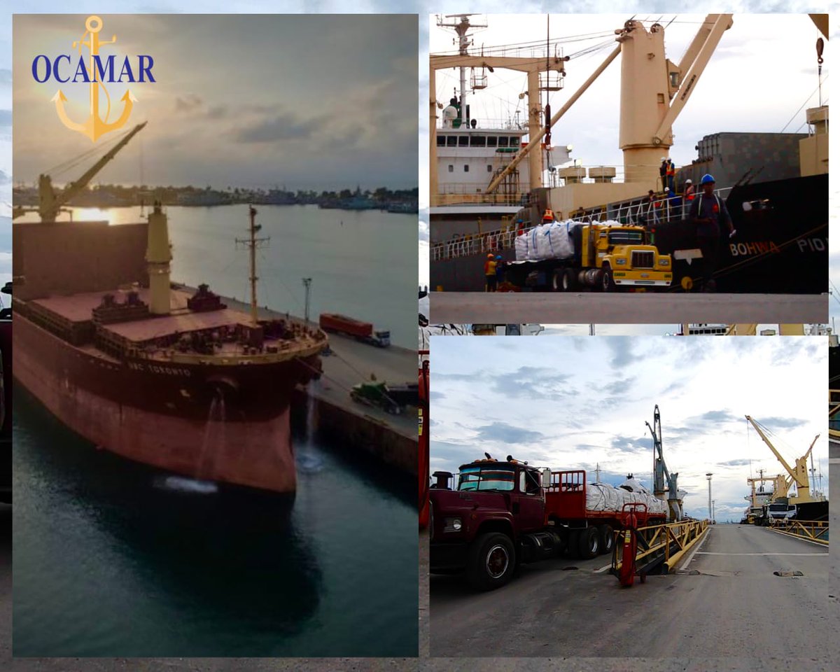 OcamarV's tweet image. At #OCAMAR we garanty you all the #logisticsOperations during unloading, unloading and storage maneuvers. We work 24/7 and we are conditioned to operate any type of #bulkcargo executing fast and safe operations.  
Contact us: 📧
atencionalcliente@ocamar.com.ve
#maritimeservices