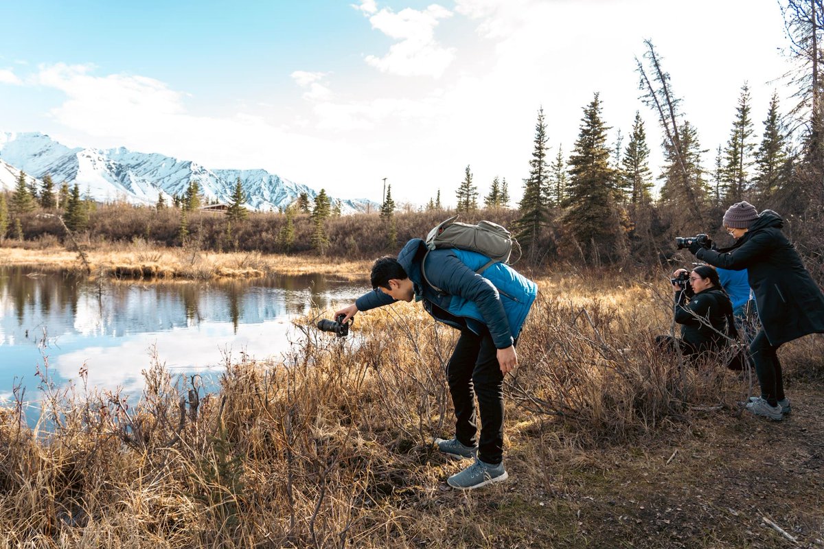 DenaliPhotoTour's tweet photo. What's your behind the camera 📸 position? Full squat? Half squat? Or lowering the camera rather than sitting down?

📸 Tyler Yates https://t.co/7fjEi2lHCF