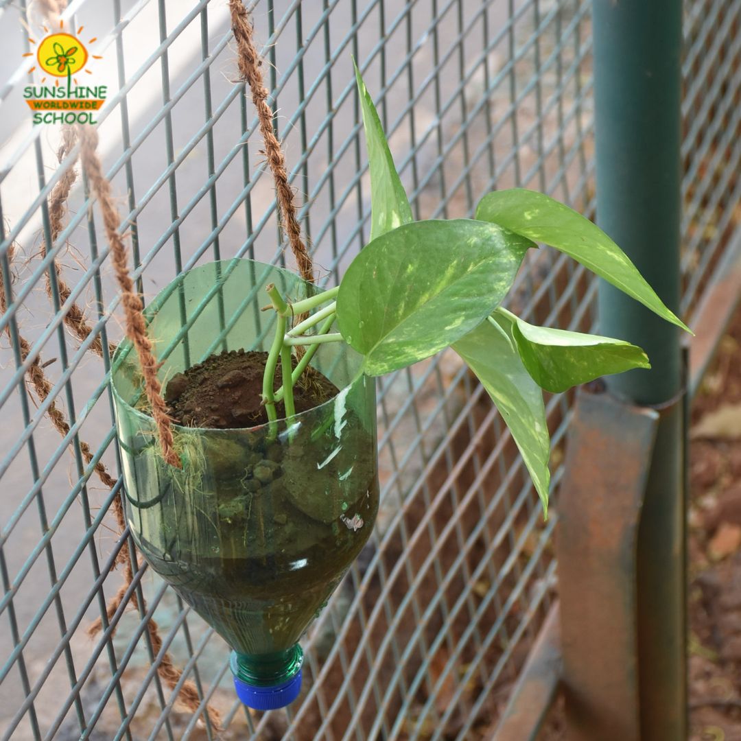 sunshine_sws's tweet photo. Sunshine Worldwide School's Environment Day celebrations are a great method to educate students about environmental issues and encourage sustainable lifestyles.#sunshineworldwideschool  #inclusiveeducation #goaschool #schoolsingoa #ibschool #internationalschool #environmentday https://t.co/88QWj1toMD