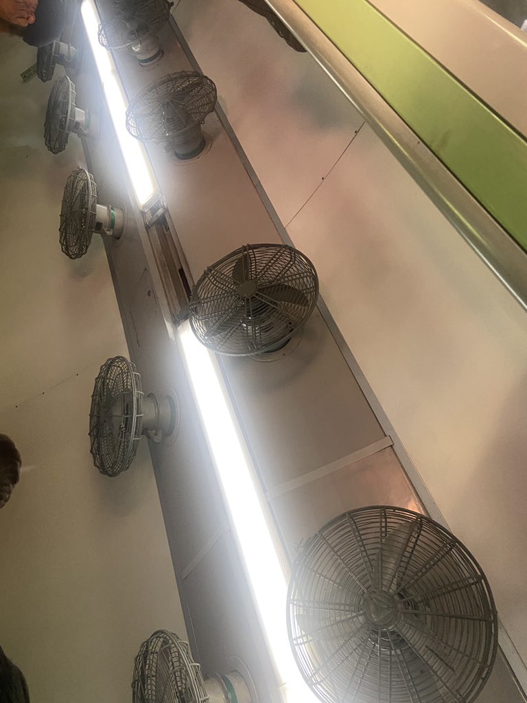 Rytvibes tweet media