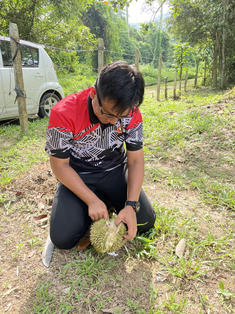 meiavida's tweet photo. Kita bagi banyak tugasan ni. Sorang ambik petai, sorang lagi petik manggis and lagi sorang bagi jahanam buah durian. 😂😂😂 https://t.co/QZd6K8a7vP