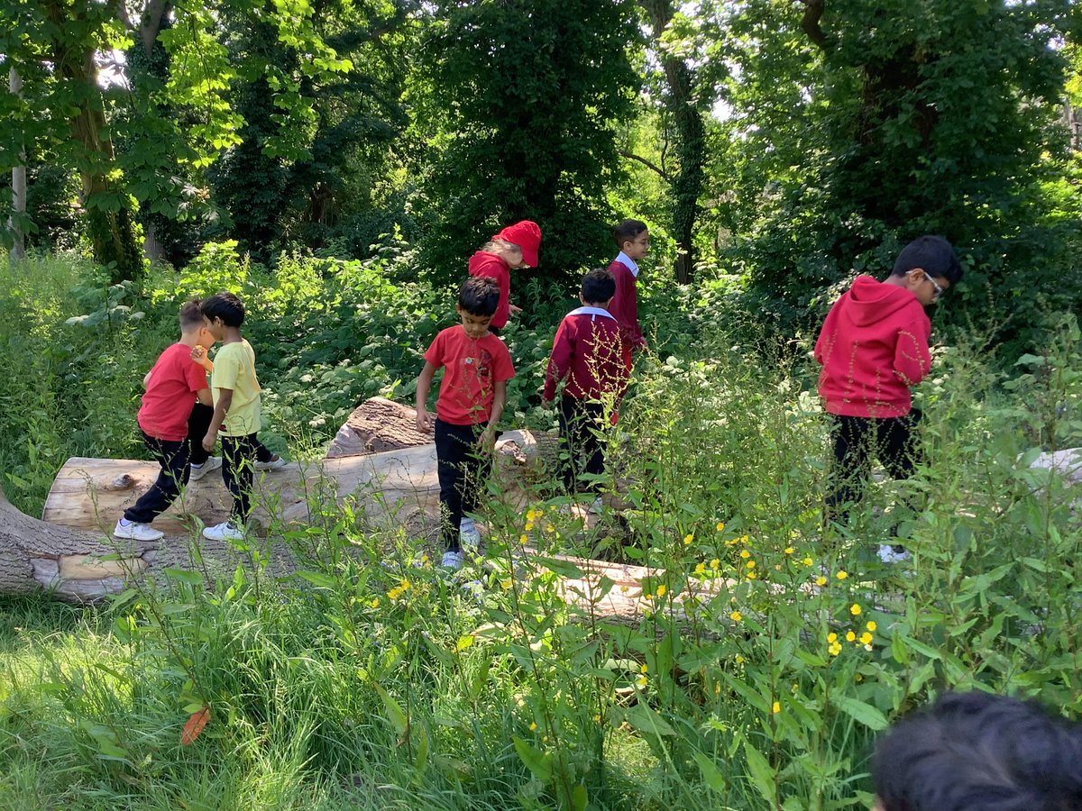 OrleyFarmSchool's tweet photo. We are going to Meadow School.
Meadow School is really cool.
Inspiring, stimulating and challenging! ๐ธ๐ณโ๏ธ
#outdoorlearning #forestschool #harrowschools #PrepSchools #ofscuriosity #ofsmeadowschool https://t.co/tpq8Qwd6fT