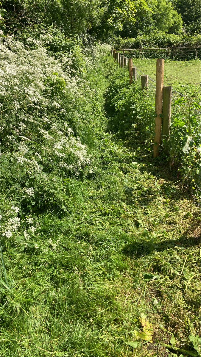 NEPS_Payback's tweet photo. Before and after images of a pathway cleared by People on Probation at Bill Quay Farm in Gateshead.

Great work!

#CommunityPayback #ProbationNorthEast https://t.co/DzfXQ7owHm