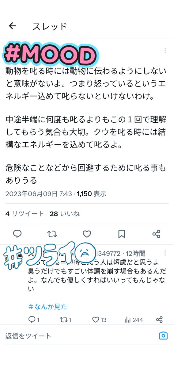 toratorachi's tweet photo. きょわ https://t.co/T6kG8P8q2y