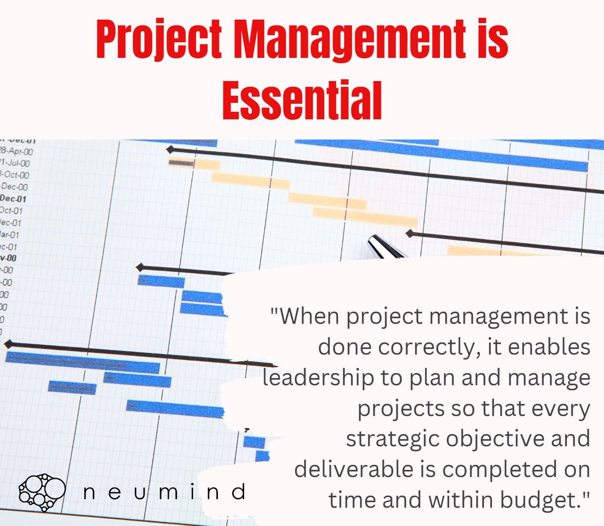 It was great to present our "Project Management for non-Project Managers" workshop yesterday. Successful execution through effective and successful project management is essential for success. 

Speak to us about project management.

greg@neumind.co.za

#projects  #neumind