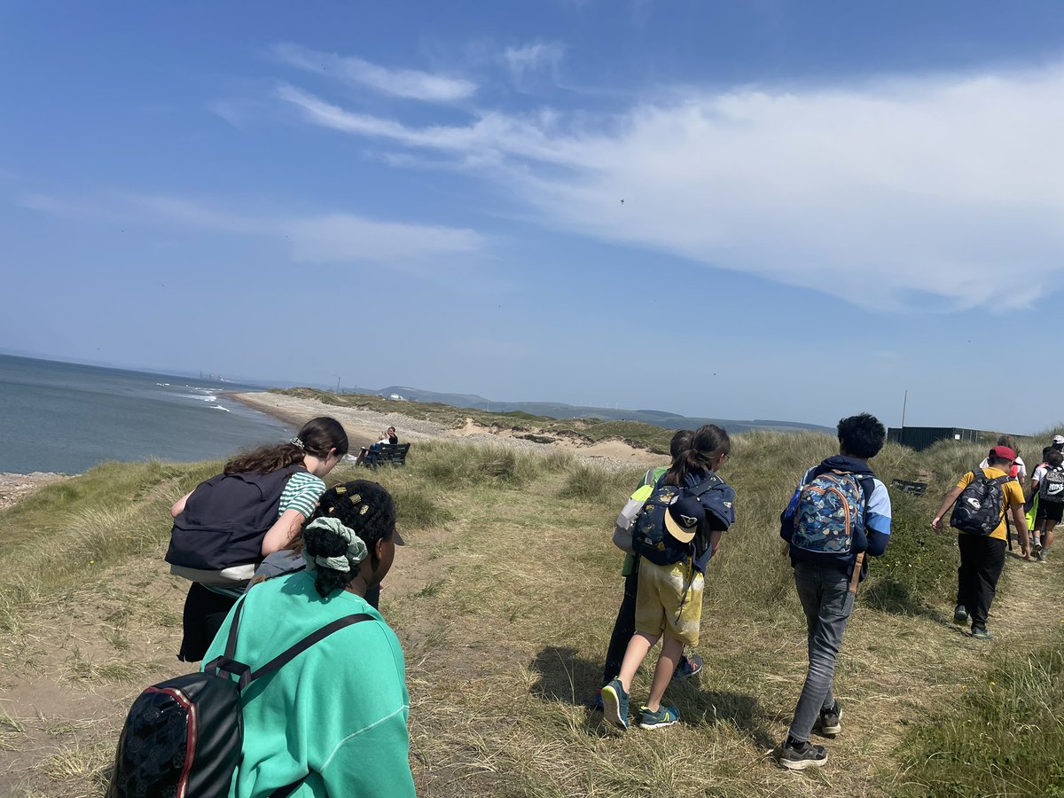 MrFielding tweet media