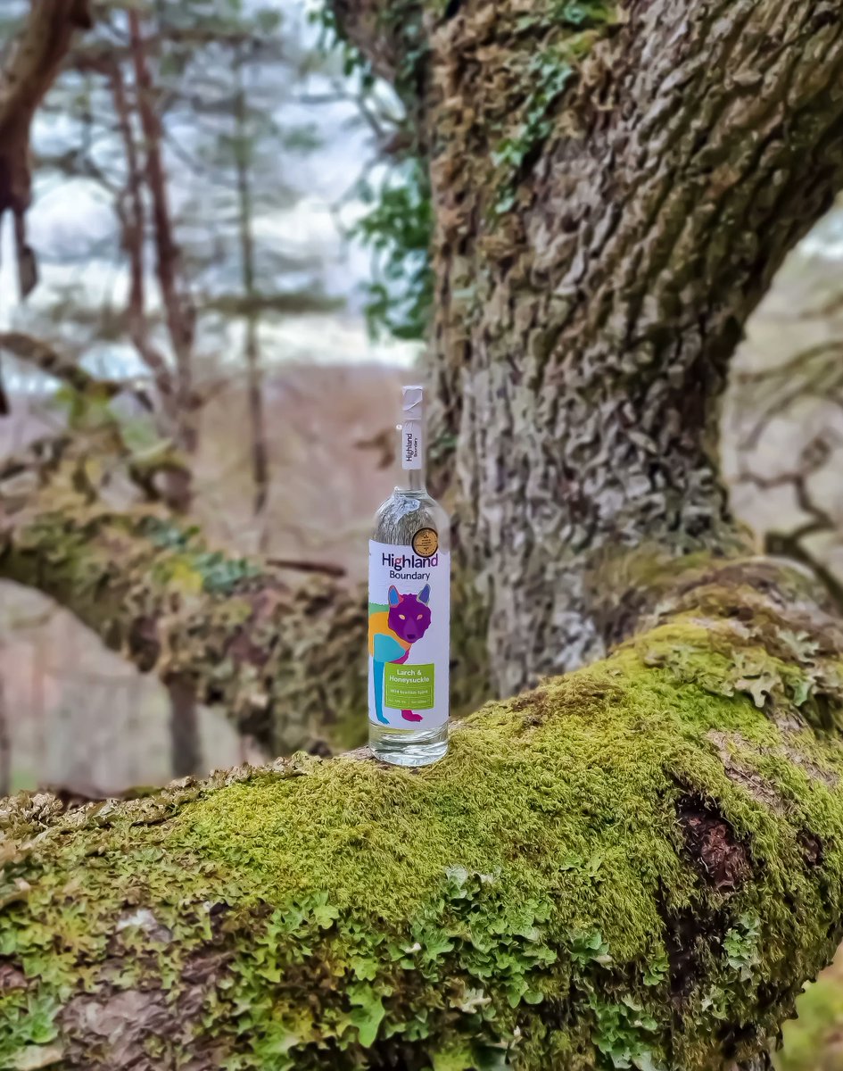 Award-winning spirits from the wild forests of Scotland to your glass.  Explore new experience and taste the difference of Wild Scottish Spirit. #wildscottishspirit #wild #scotland