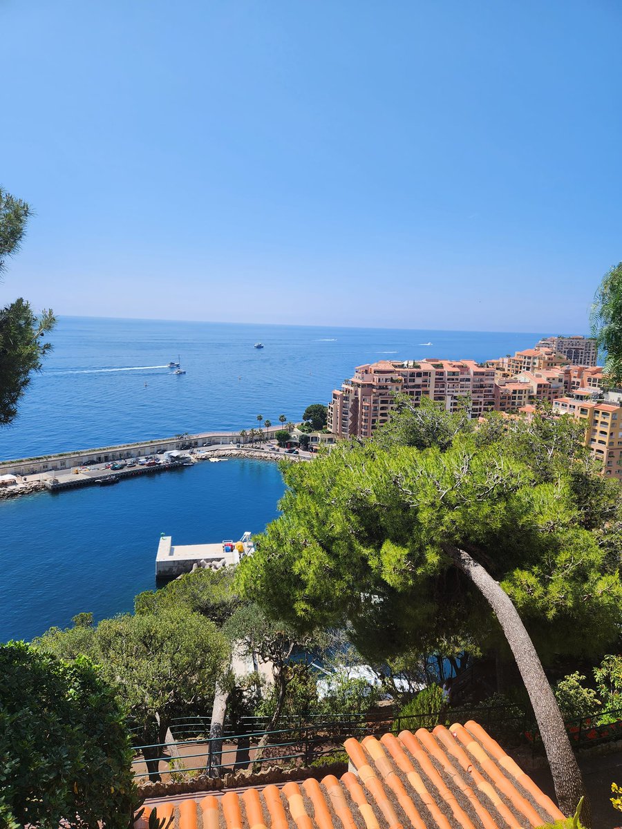 A wonderful selection of photos from our driver Simon. Market day in Diano Marina and our excursion to Monte Carlo.