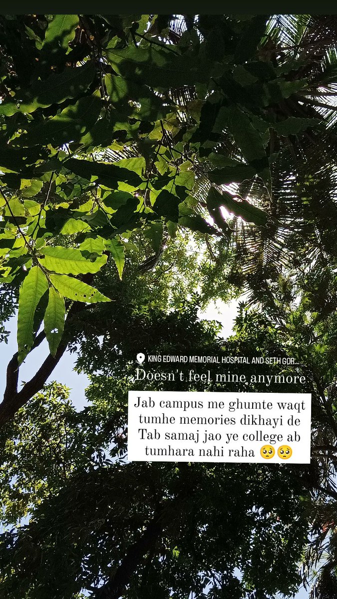 TheRcm's tweet photo. Jab campus me ghumte waqt 
Tumhe memories dikhayi de
Tab samaj jao ye college ab
Tumhara nahi raha 🥺🥺
#MedTwitter 
#2017batch https://t.co/9Pf5RQW4qE