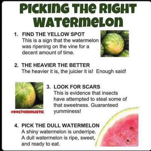 Picking The Right Watermelon!

#watermelon #watermelonbenefits #eattolive #naturalweightloss #alkalinewater #plantbasedfood #smoothies #herbaldetox  #plantbased #plantbasedfood #vegansofig #veganfood #healthyfood