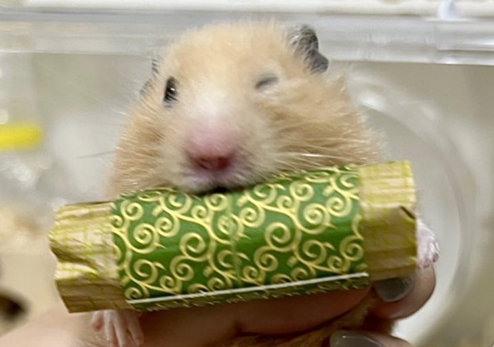 merryproject's tweet photo. ウィンク？ https://t.co/MaSNSA9ohx