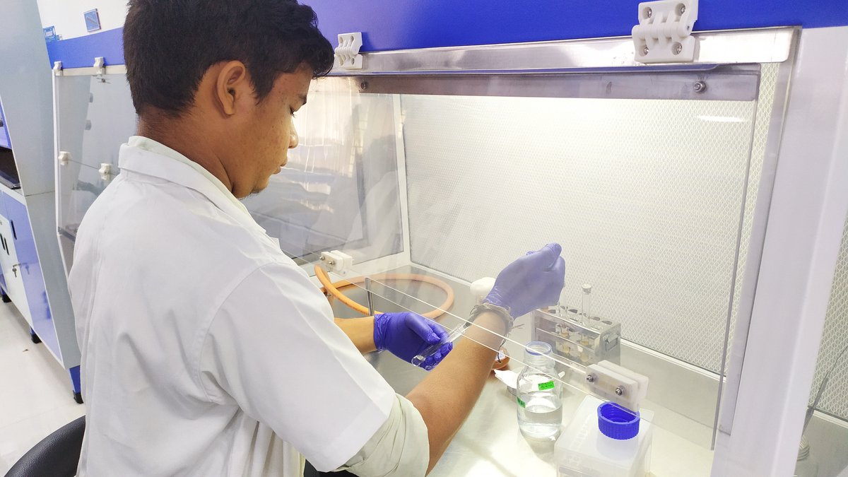 Students from the Sree Sastha Institute of Engineering and Technology successfully completed one-week hands-on training in Microbiology techniques. 
@DBTIndia
@BIRAC_2012
#training #students #biotechnology #handsontraining #microbiology