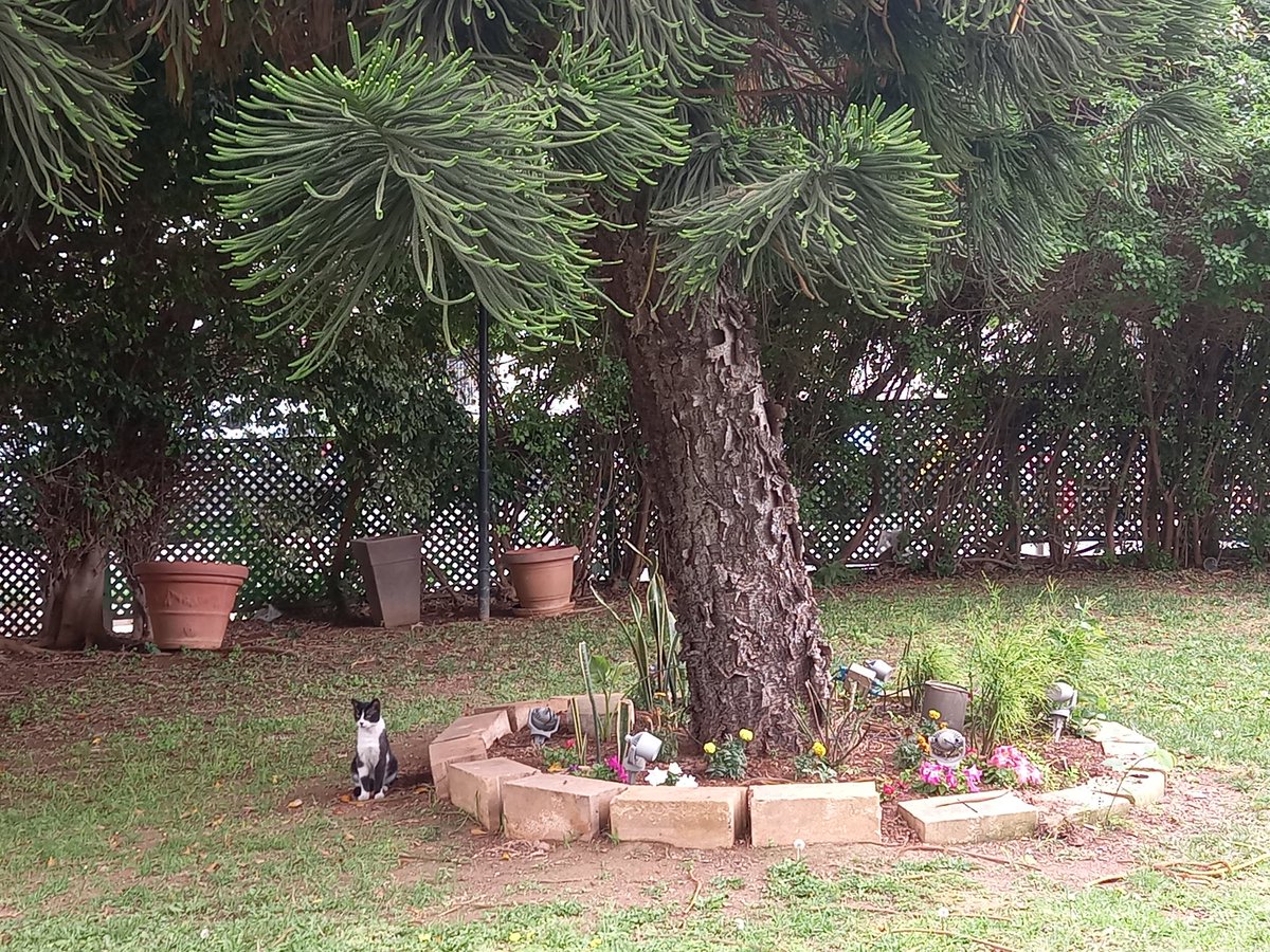 Just coming back from a wonderful <a href="/iSeed_project/">I-Seed_project</a> meeting in Cyprus!  <a href="/BarbaraMazzolai/">Barbara Mazzolai</a> <a href="/laura_margheri/">Laura Margheri</a> <a href="/IITalk_projects/">IITalk_projects</a> <a href="/IITalk/">IIT</a>