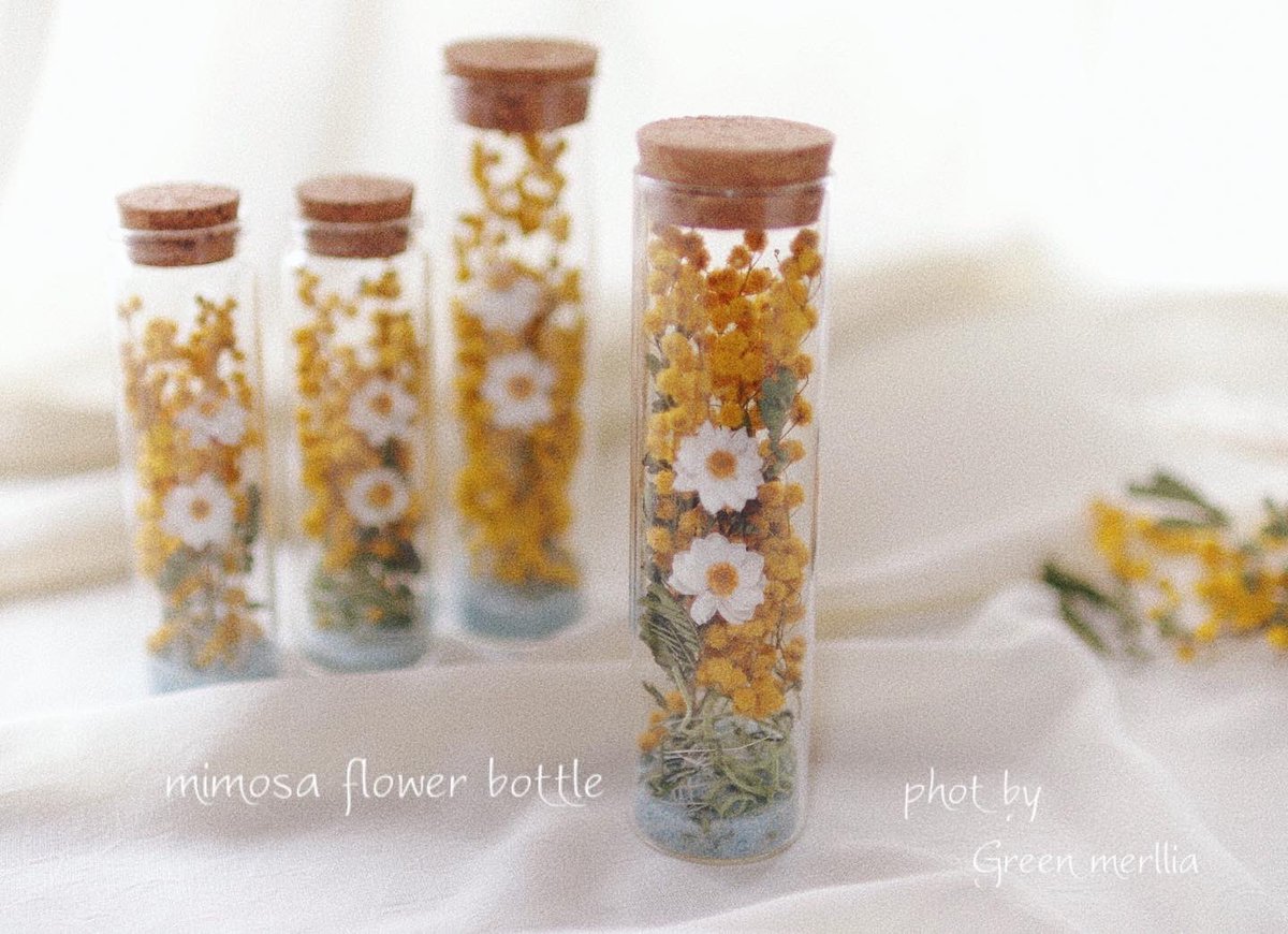 GMerllia's tweet photo. #ミモザボトル
#minne オーダー品
大きめコルクボトル✨
久々の
#一眼レフ撮影
#flower #leas
#dryflower
#swag
#flowerarrange
#リース
#ドライフラワー
#greenmerllia
#gmerllia
#グリーンメリア
#グリーンメリア岐阜
#ハーバリウム
#岐阜県
#可児市
#美濃加茂市
#一眼レフ
#ミンネ https://t.co/5CUZusob2k