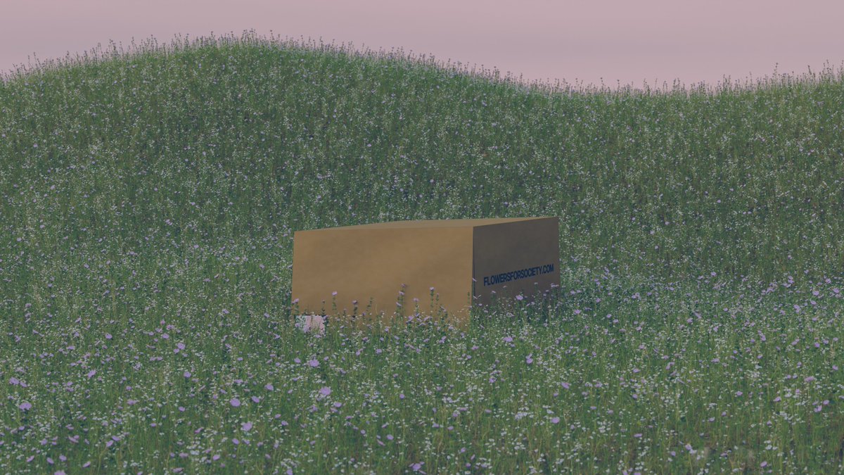 Coped your Daisy Blind 📦 yet?

If you trust us, you can (and should) get the Daisy for the non-profit price of only 111,-€ soon.

Why?
🅰️ You will get an additional surprise.
🅱️ The window to do so will close.

#Sneaker #Blindbox #Blinddrop #FlowersForSociety