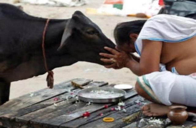 punjabkesari's tweet photo. गाय के अनेक लाभों से हम वंचित क्यों
https://t.co/grjktlTJ5x
#Cow #Benefits #DepartmentofAgriculture #BodyStructure https://t.co/iH0tvJ0Dyf