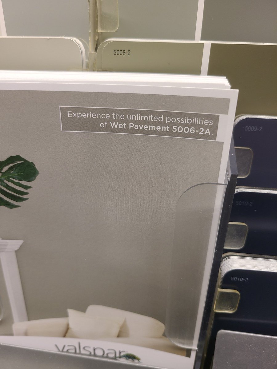 Worms after it rains: