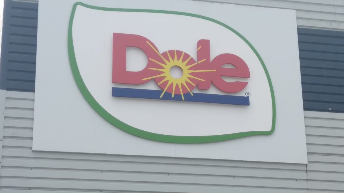 Twomey Weekend tweet media