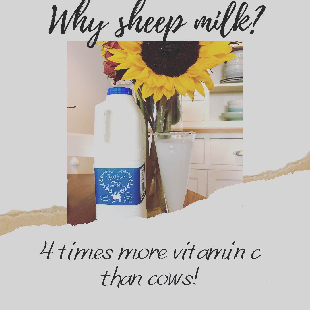 Our bottled Sheeps milk is back… and we are looking for dairy wholesalers to work with in spreading the benefits of sheeps milk across the Uk and beyond. Please DM if interested in working with us 👍