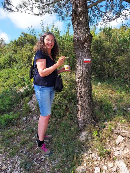 Carcassonnais's tweet photo. 📷MERCI à tous les baliseurs de chemins de randonnées qui font que nous pouvons marcher le nez en l'air sans l'avoir sur nos cartes ou téléphones : un réel BONHEUR pour déconnecter 📷
Ici sur le GR36 AUDE avec le Club pédestre Marseillette 📷
#randonner #randonnées #marcher https://t.co/cUxwoeippG