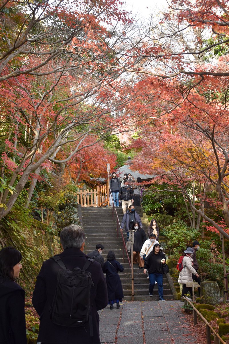 BACKPACKER_free's tweet photo. ✈BACK PACKER メンバーの旅日記

鎌倉 神奈川

商店街や大社は出店や参拝で朝から賑わっていた。遠くから呼び込みの声が聞こえる。真冬の早朝から活気で溢れているのは珍しいな、と普段目にしない地域性に心が踊った。

HPへはこちら→BACKPACKER | 学生団体S.A.L. (https://t.co/GrBVd5CWRR) https://t.co/WjIysgX6al