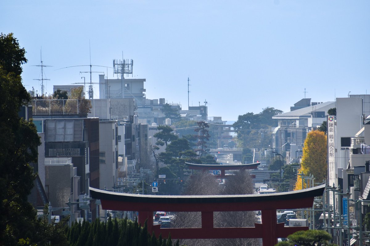 BACKPACKER_free's tweet photo. ✈BACK PACKER メンバーの旅日記

鎌倉 神奈川

商店街や大社は出店や参拝で朝から賑わっていた。遠くから呼び込みの声が聞こえる。真冬の早朝から活気で溢れているのは珍しいな、と普段目にしない地域性に心が踊った。

HPへはこちら→BACKPACKER | 学生団体S.A.L. (https://t.co/GrBVd5CWRR) https://t.co/WjIysgX6al