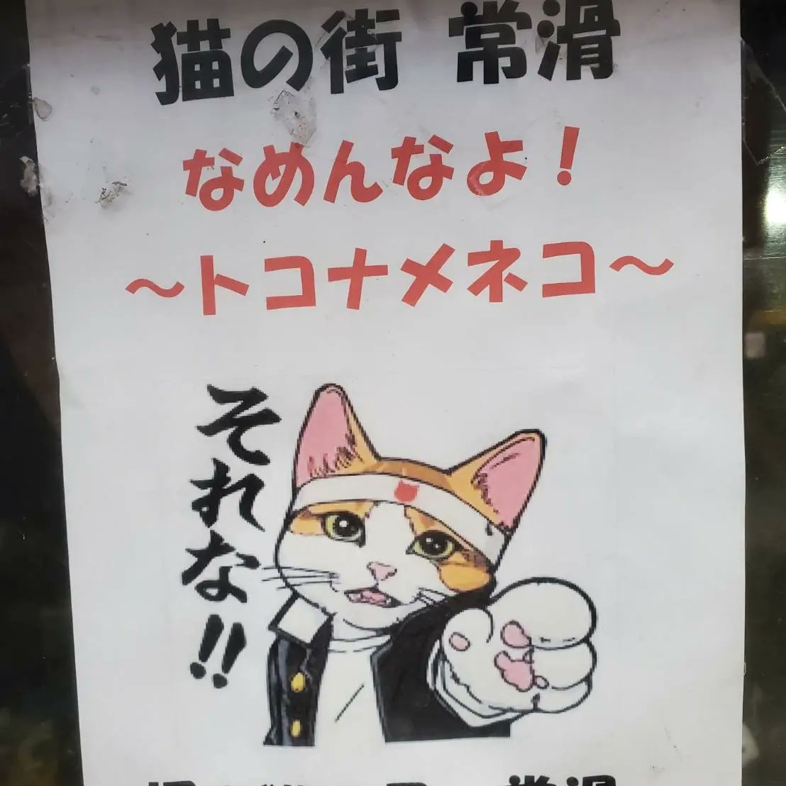 johnjohnjohn121's tweet photo. 🎵犬なら、猫と喧嘩して～
　猫とヒヨコは敵どうし
　それはパパママ決めた小鳥
　オレたち関係ないもんネコ
　あ○（あにまる）ロックンロール
　あ○（あにまる）ロックンロール
この📺️アニメ覚えてますか？『とんでモン・ぺ』のテーマソング。本日６月９日は語呂合わせから『🎙️ロックの日』 https://t.co/UsPccPJYzb