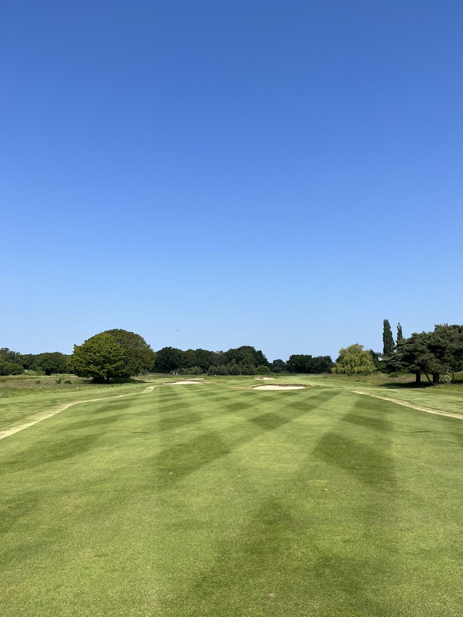 Firm and fast out there, let’s hope for that thunder storm the weekend it wouldn’t go a miss😎☀️