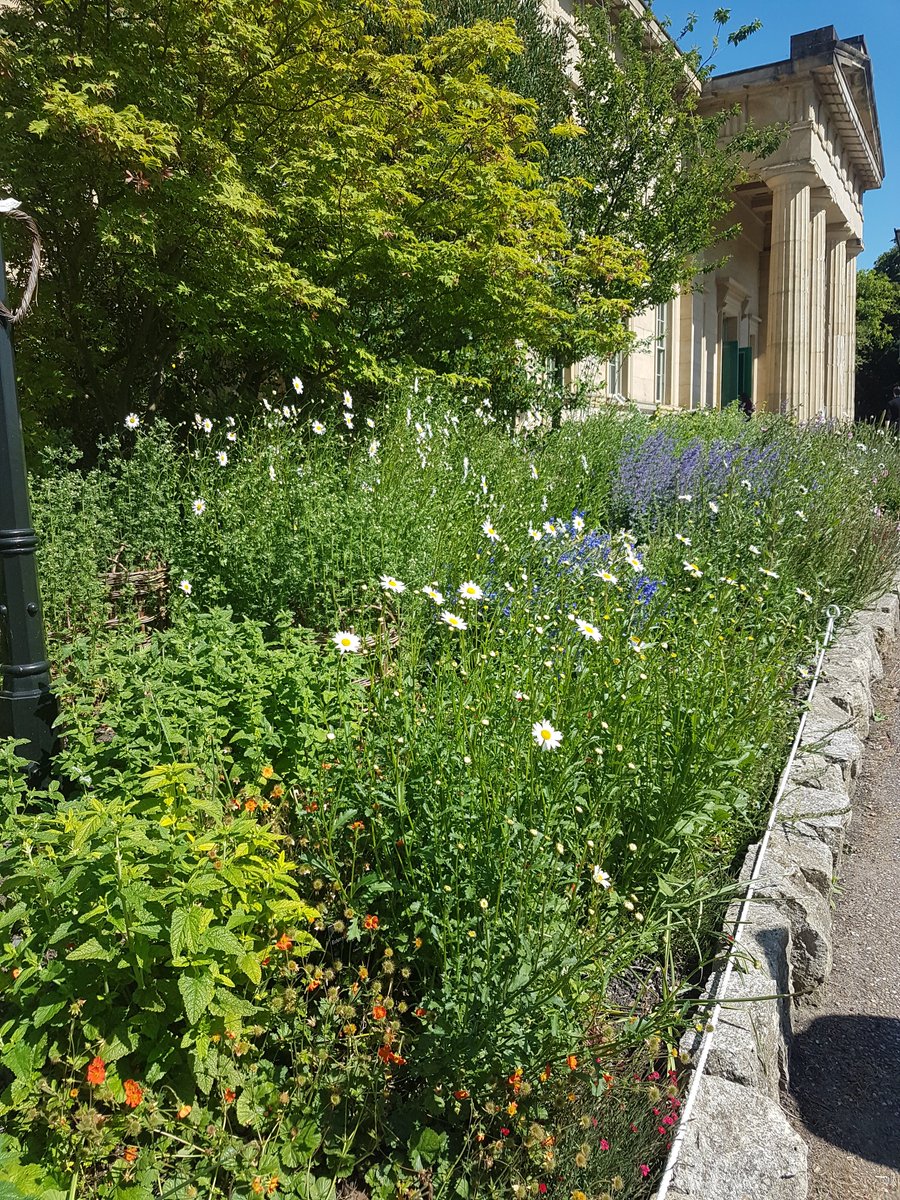 Fancy a job as a member of the Garden Team in Museum Gardens, York?

See York Museums Trust website <a href="/YorkMuseumTrust/">York Museums Trust</a> for full details! 

#horticulturejobs #gardening #historicgarden #york