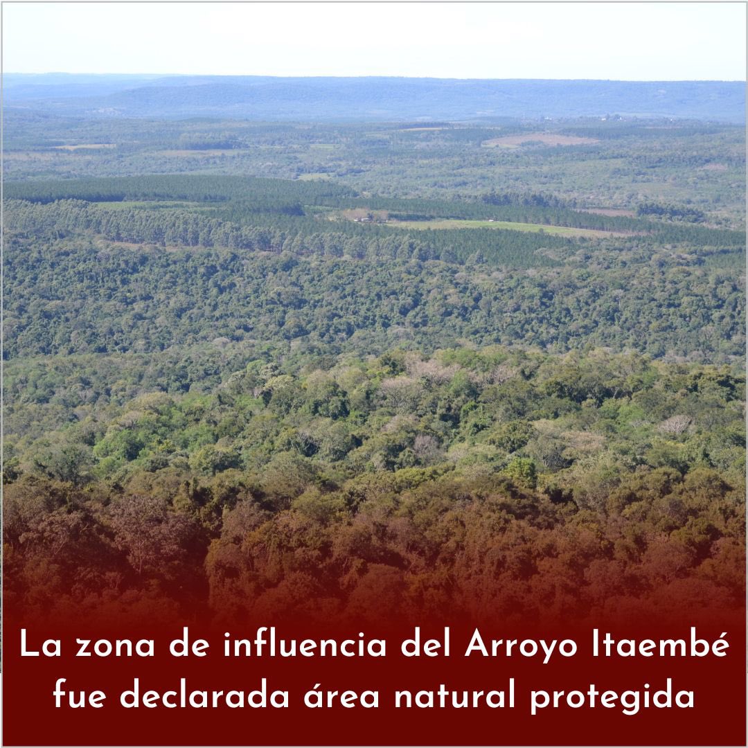 recamanmartin's tweet photo. La zona de influencia del Arroyo Itaembé fue declarada área natural protegida

La medida abarca los inmuebles lindantes, los bosques protectores y sus afluentes. https://t.co/v8ALrbb4lg