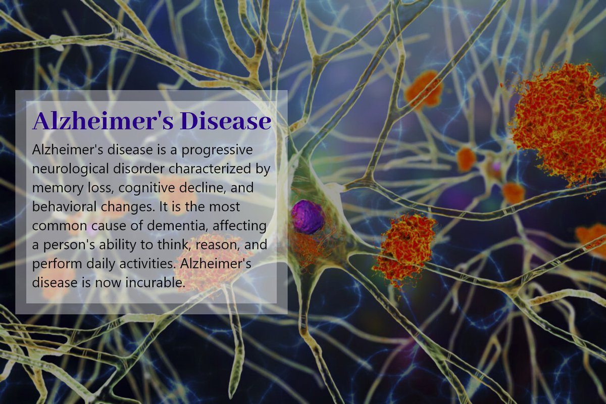 Alzheimer's disease is the most common type of dementia.
#Alzheimersdisease #HealthyChoices #WellnessCommunity #KnowYourHealth #DiseaseFree #HealthIsWealth #SupportAndPrevention #HealthyHabitsForLife #StaySafe #DiseaseControlProgram #HealthEducationMatters
umbrellamd.com