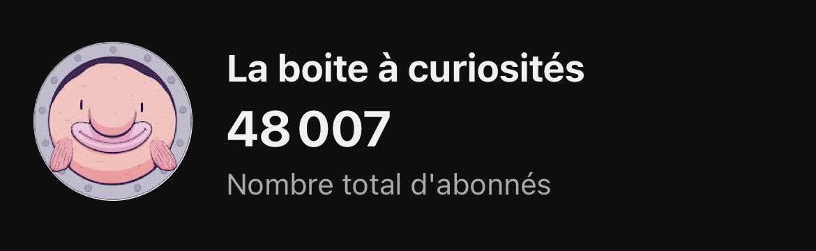 Marie Treibert tweet media