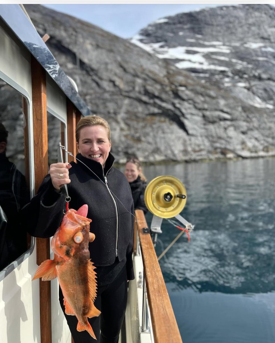 Det er voldsomt at være fisk: 
Når de fanges på dybt vand og bringes hurtigt til overfladen (fra højt til lavt tryk) ser man ofte skader:  
🔴 svømmeblæreren presses ud af munden
🔴 øjnene presses ud af hovedet
Er fisken overhovedet død? #dyrevelfærd