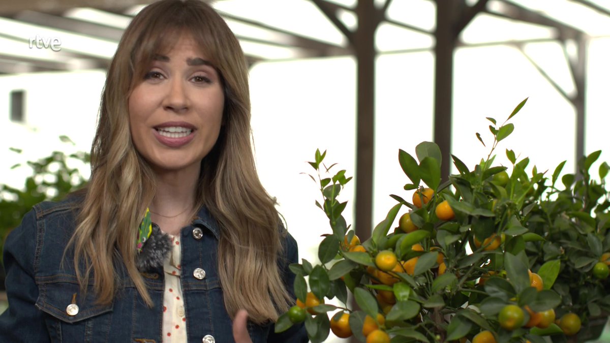danitve's tweet photo. 📣 Avui a #VadeVerd

🌿Coneixerem alguns programes que treballen per la inclusió de col·lectius vulnerables. PeI ens mostraran la cara més integradora de les plantes.

📺 @la2_tve 
🌐 https://t.co/z5mzCeyZr7
▶️ https://t.co/itNJUP8aSv 
⌛ 13:20 h https://t.co/zMcdpBKUqW