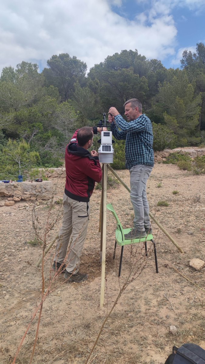 Conselleria de la Mar i del Cicle de l’Aigua tweet media